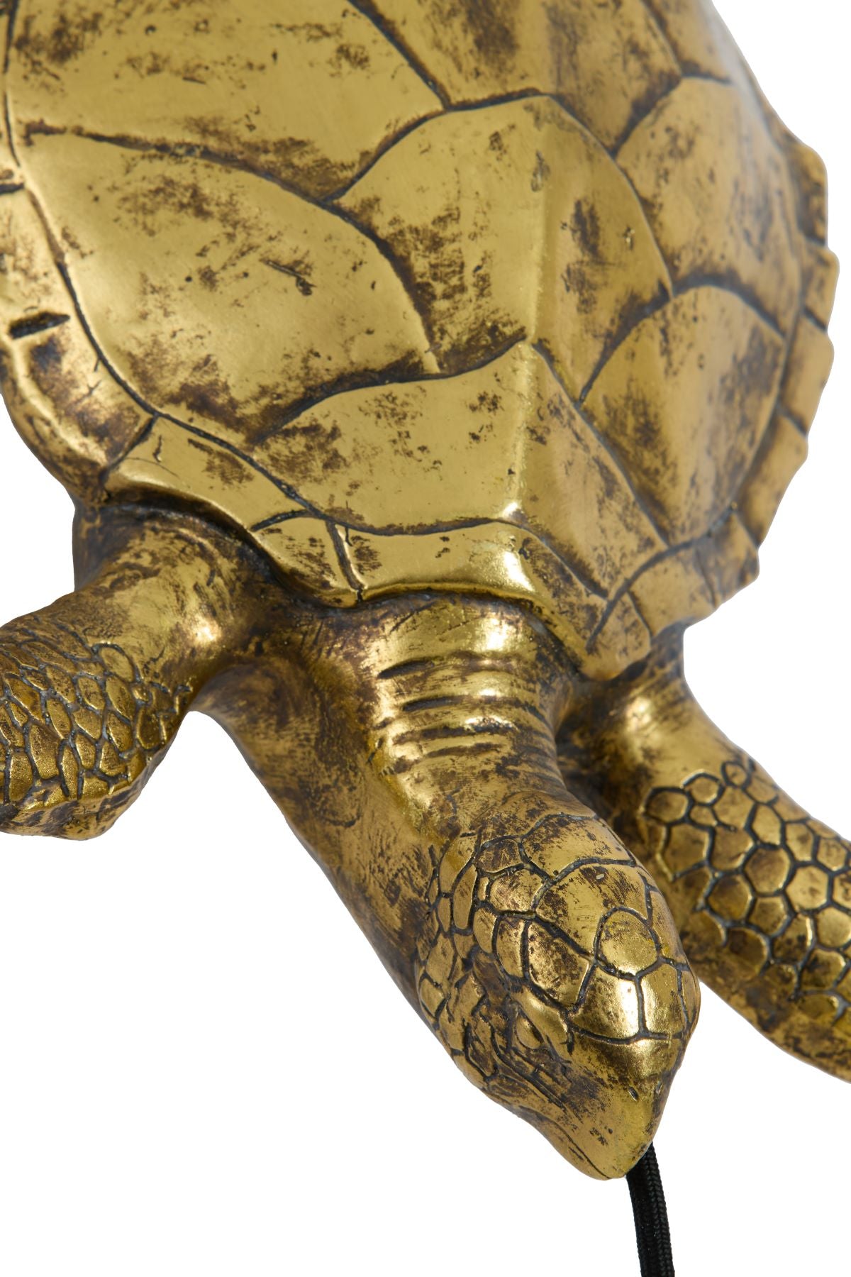 Antique Bronze Turtle Wall Light
