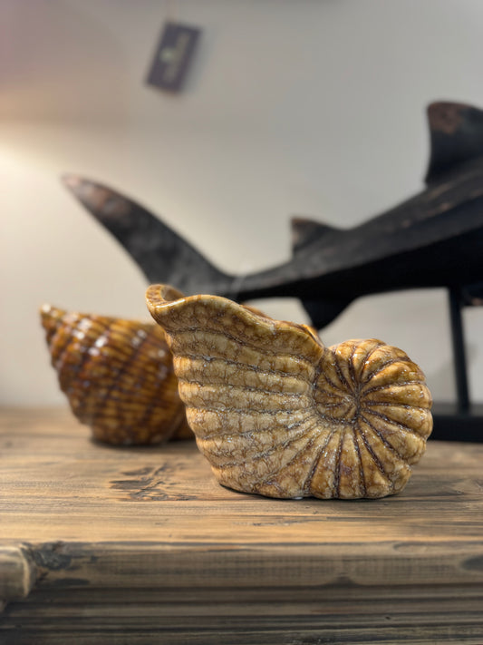 Cream Ceramic Shell Shaped Pot Glazed A