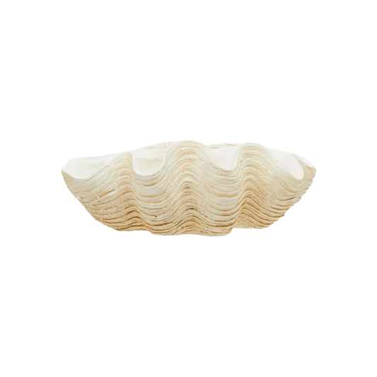 Large Clam Shell Bowl