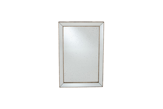 Antique Gold Rectangle Mirror