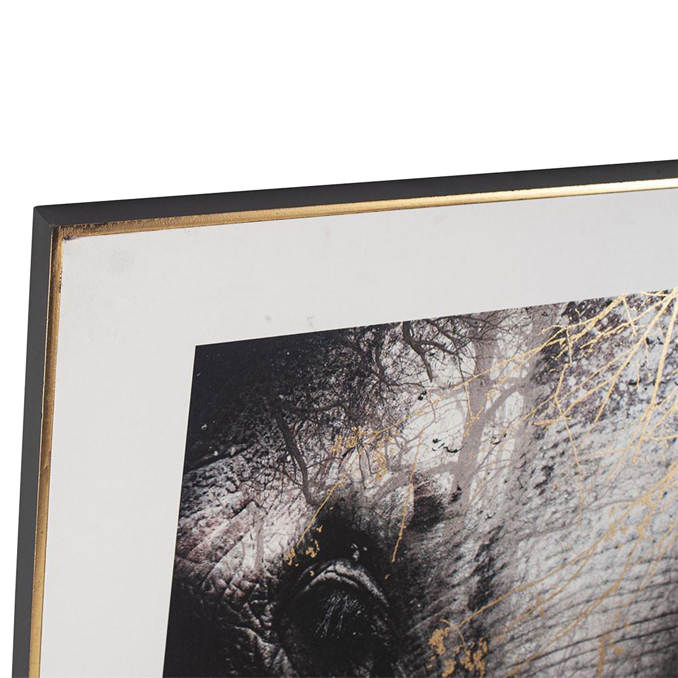 Mono Elephant Print with Gold Detail and Black Frame