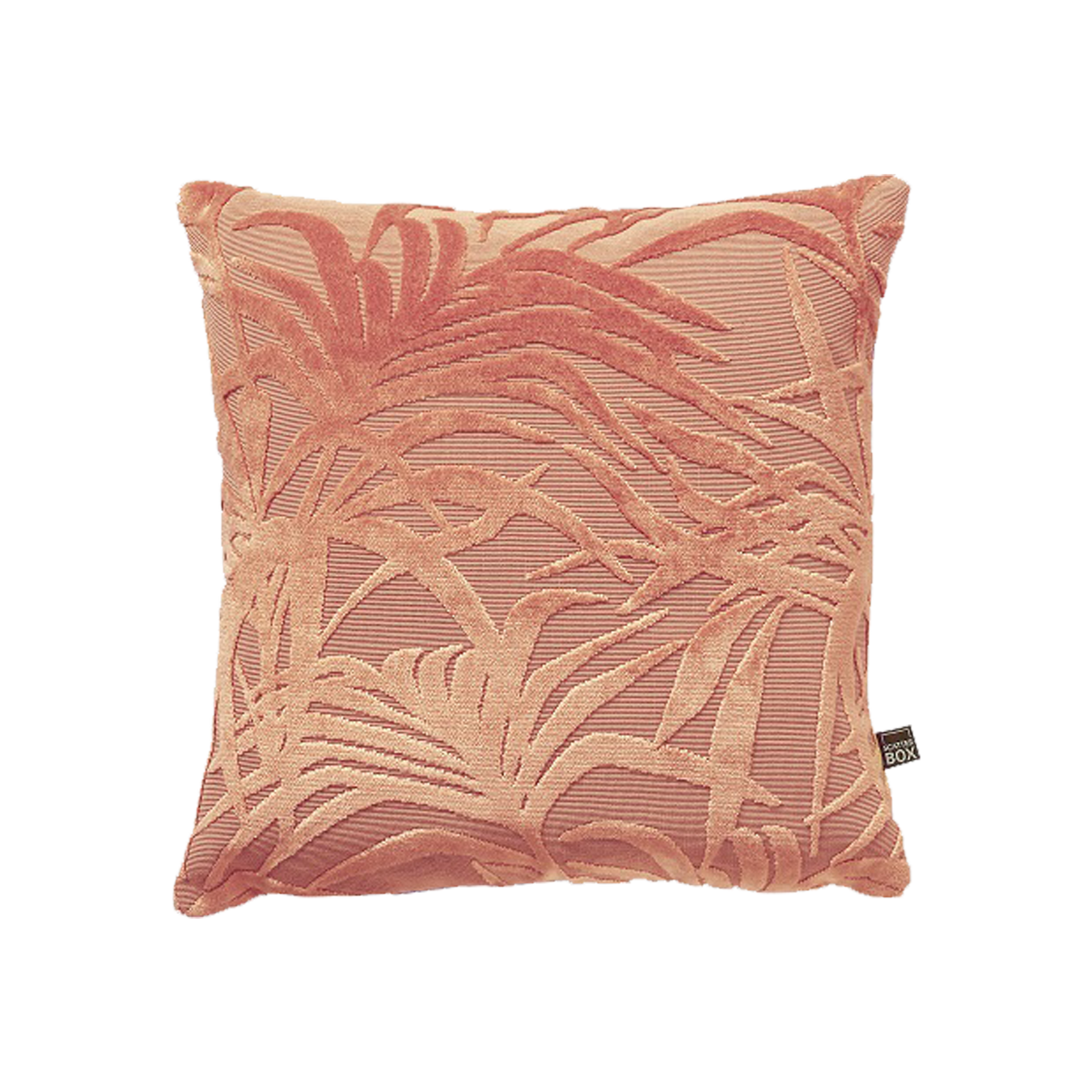 Cali Blush