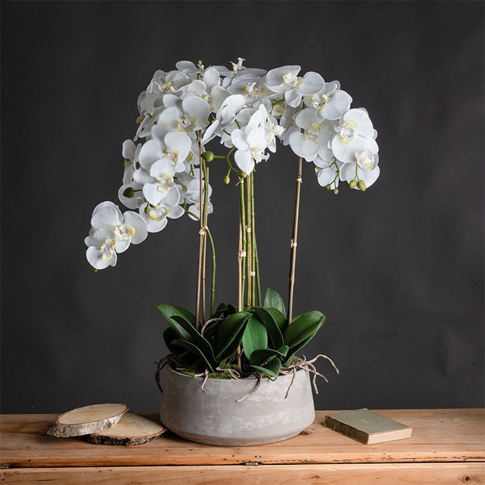 Faux Plants