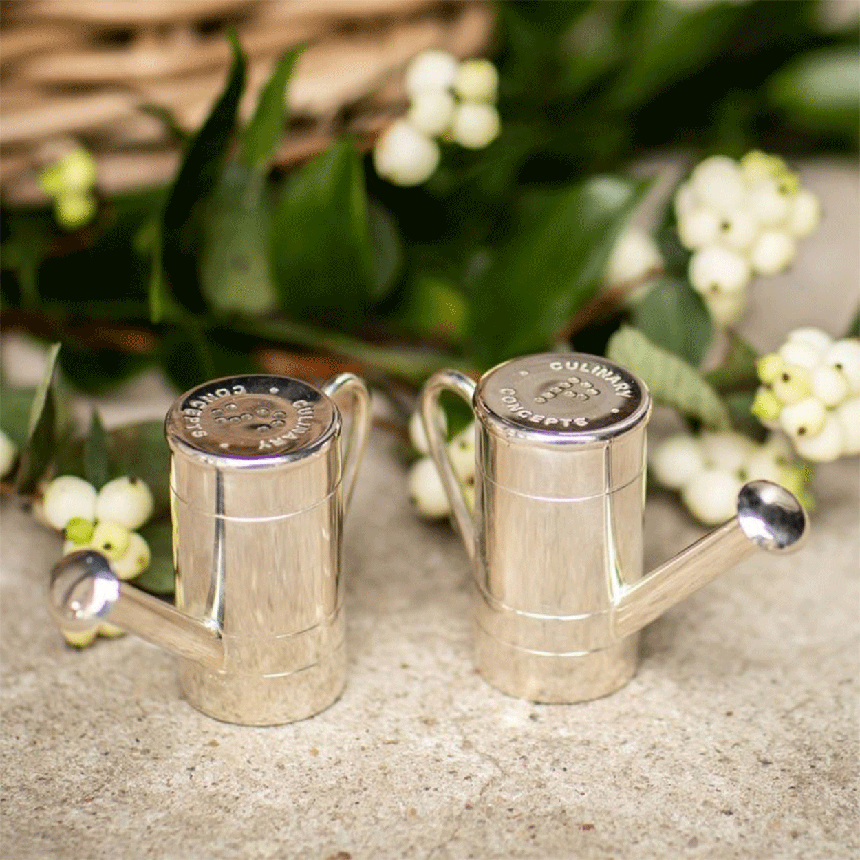 Watering Can Salt & Pepper Set