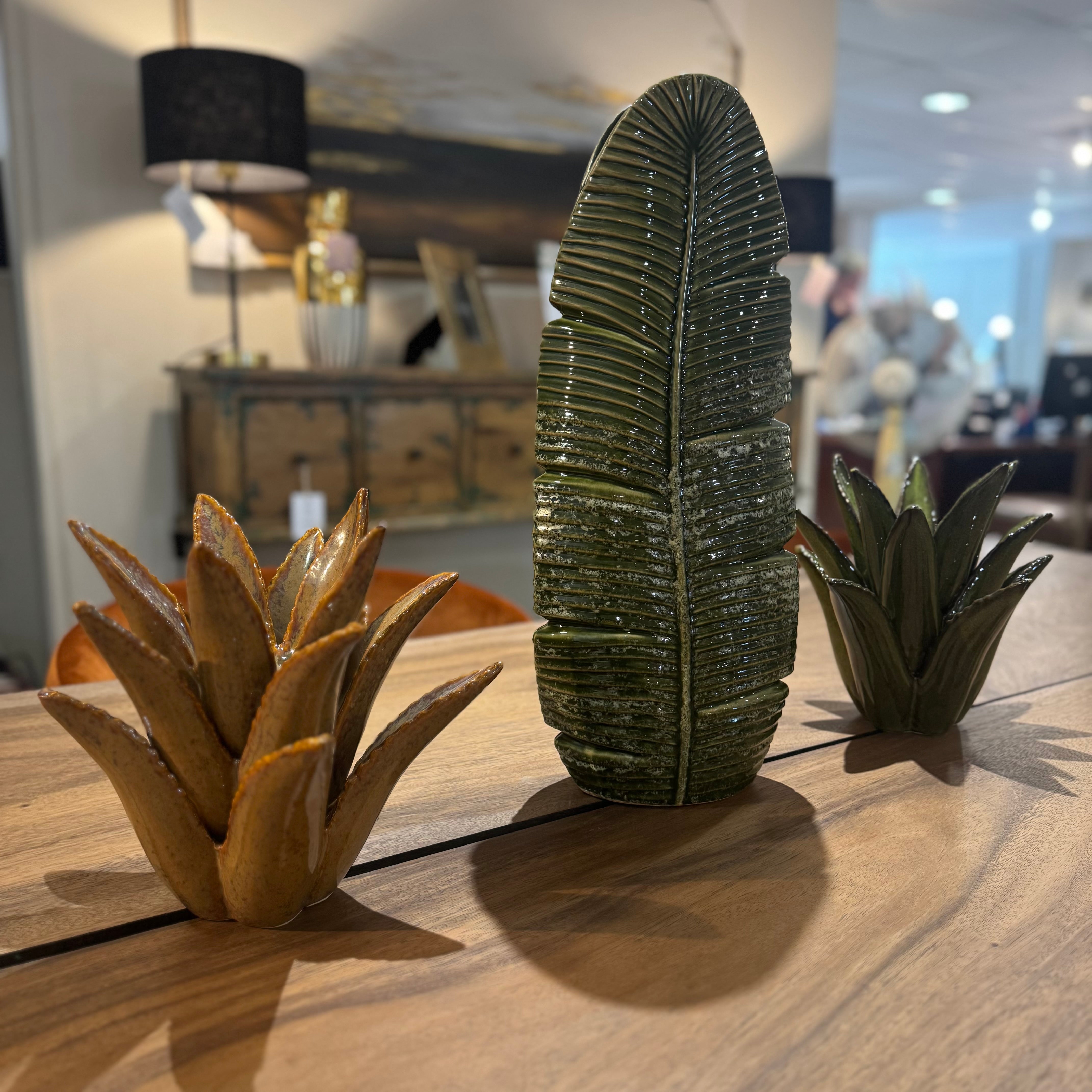 Cactus Candle Holders | Auburn
