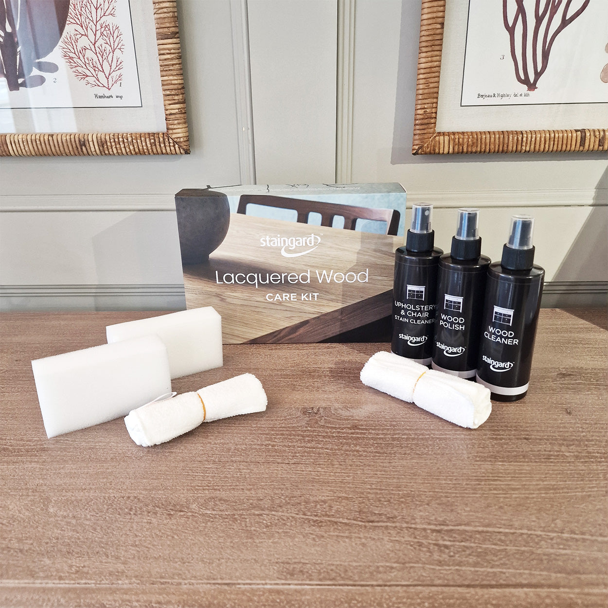 Lacquered Wood Care Kit