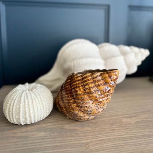 Cream Ceramic Shell Shaped Pot Glazed B