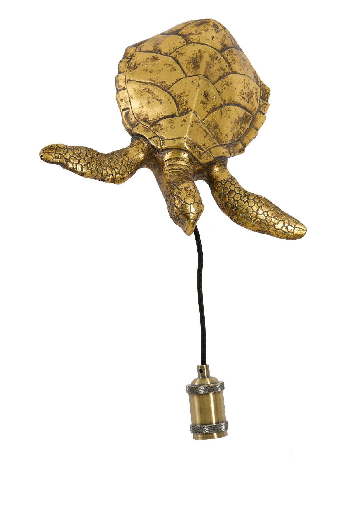 Antique Bronze Turtle Wall Light