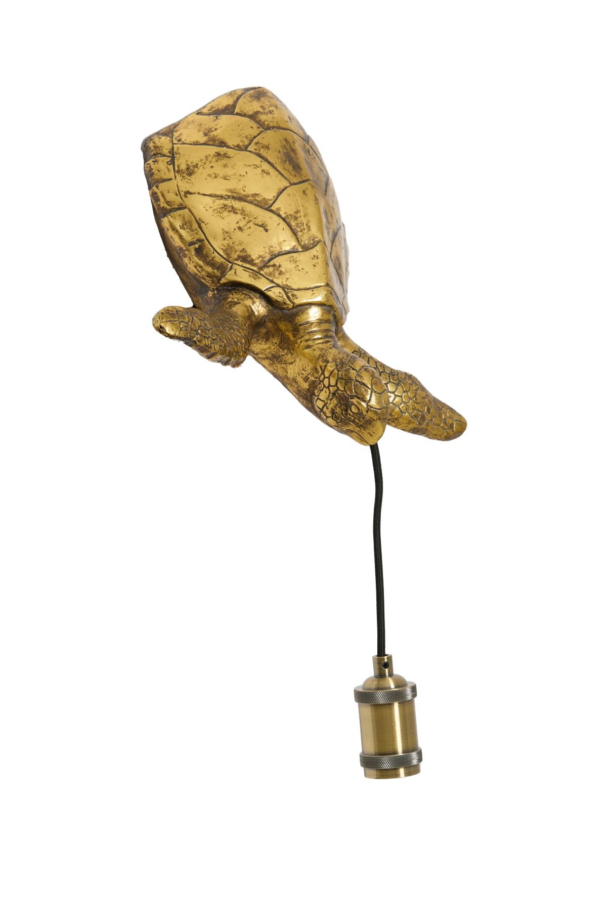 Antique Bronze Turtle Wall Light