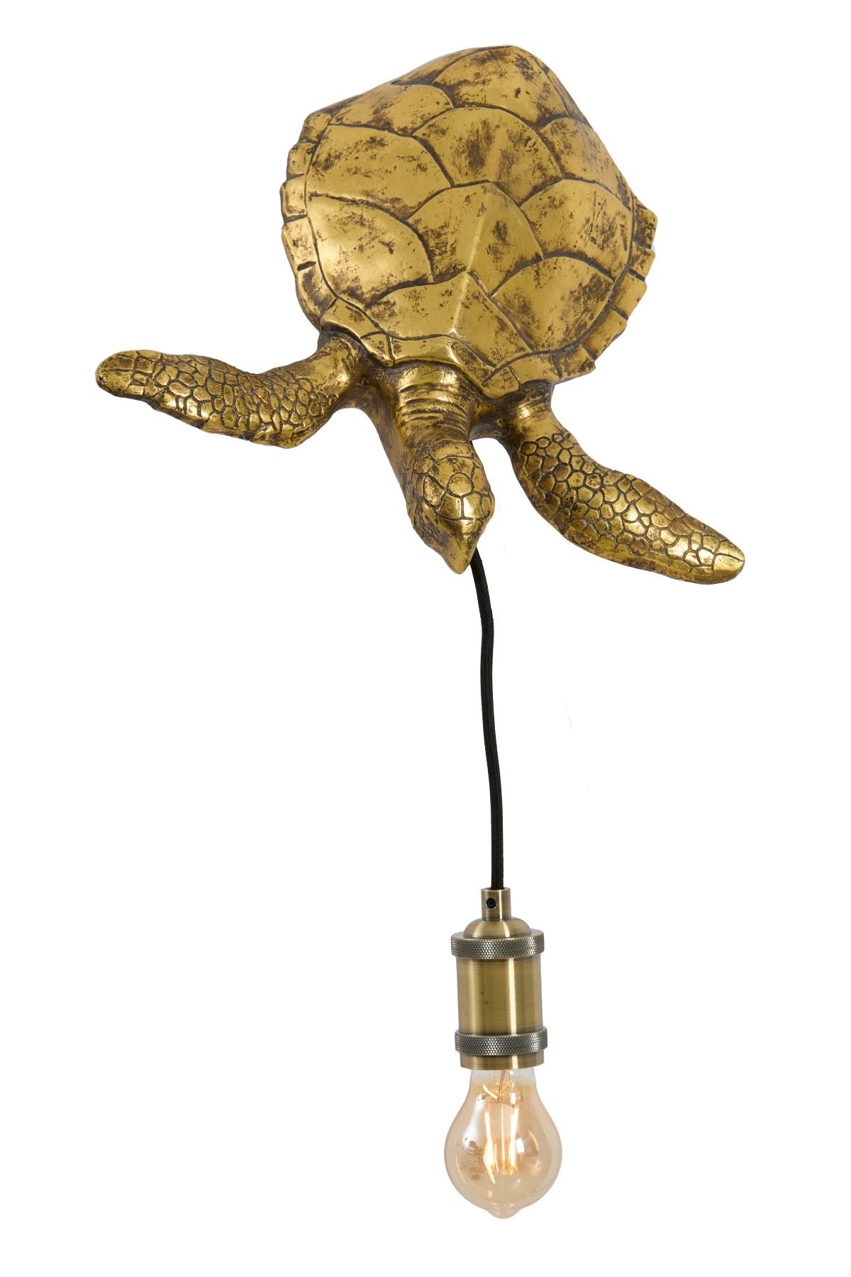 Antique Bronze Turtle Wall Light
