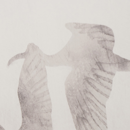 S/3 Natural & White Bird Canvases