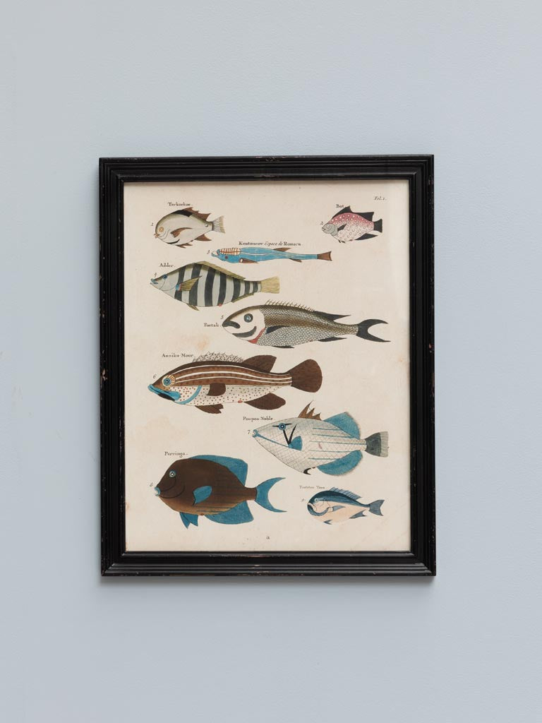Set of 4 Multicoloured Fish Frames