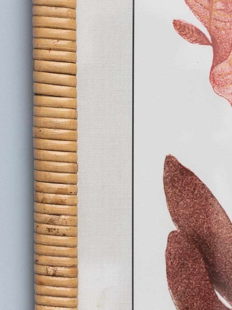 Set of 2 Multicoloured Coral Frames