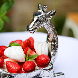 Giraffe Nibble Bowl  | Silver