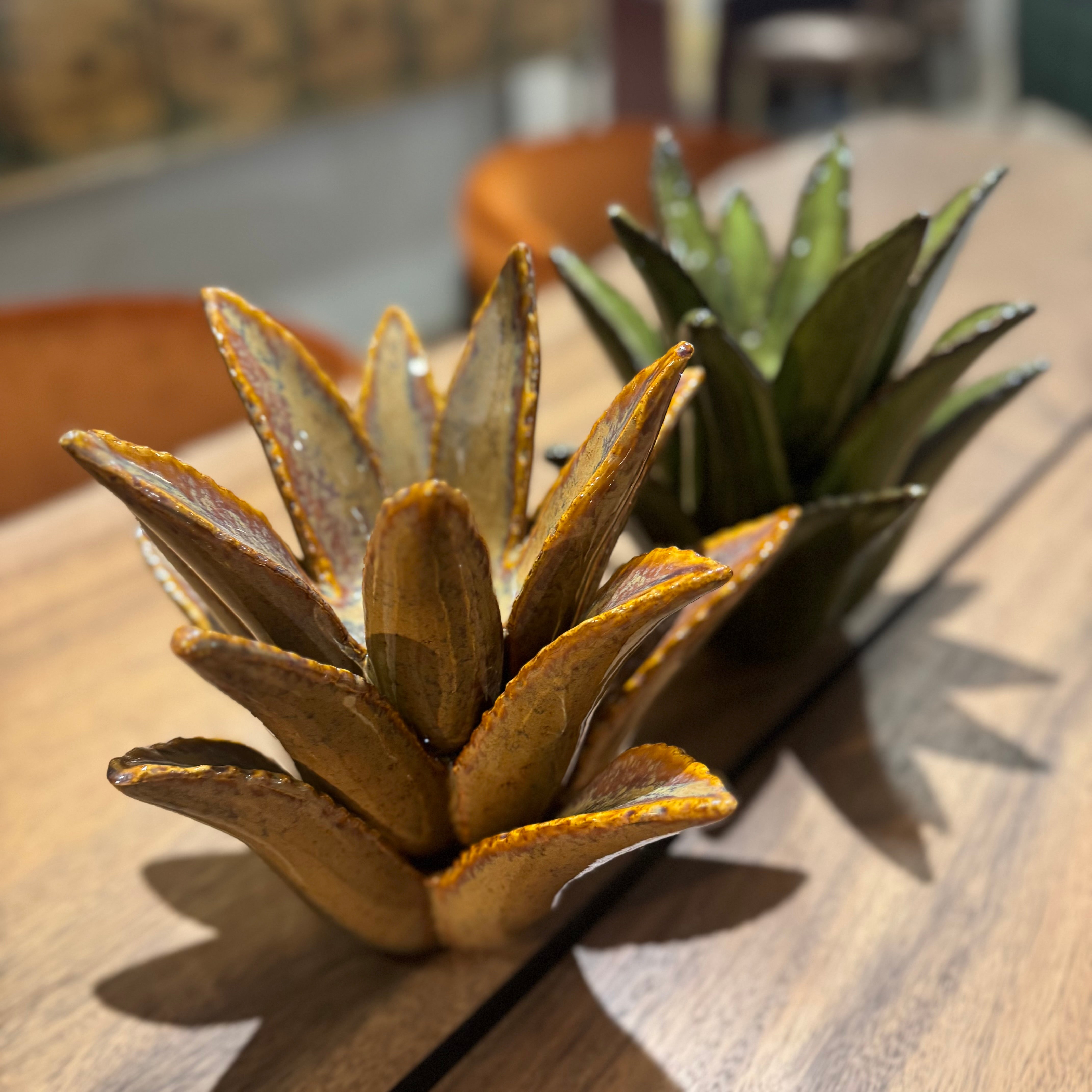 Cactus Candle Holders | Auburn