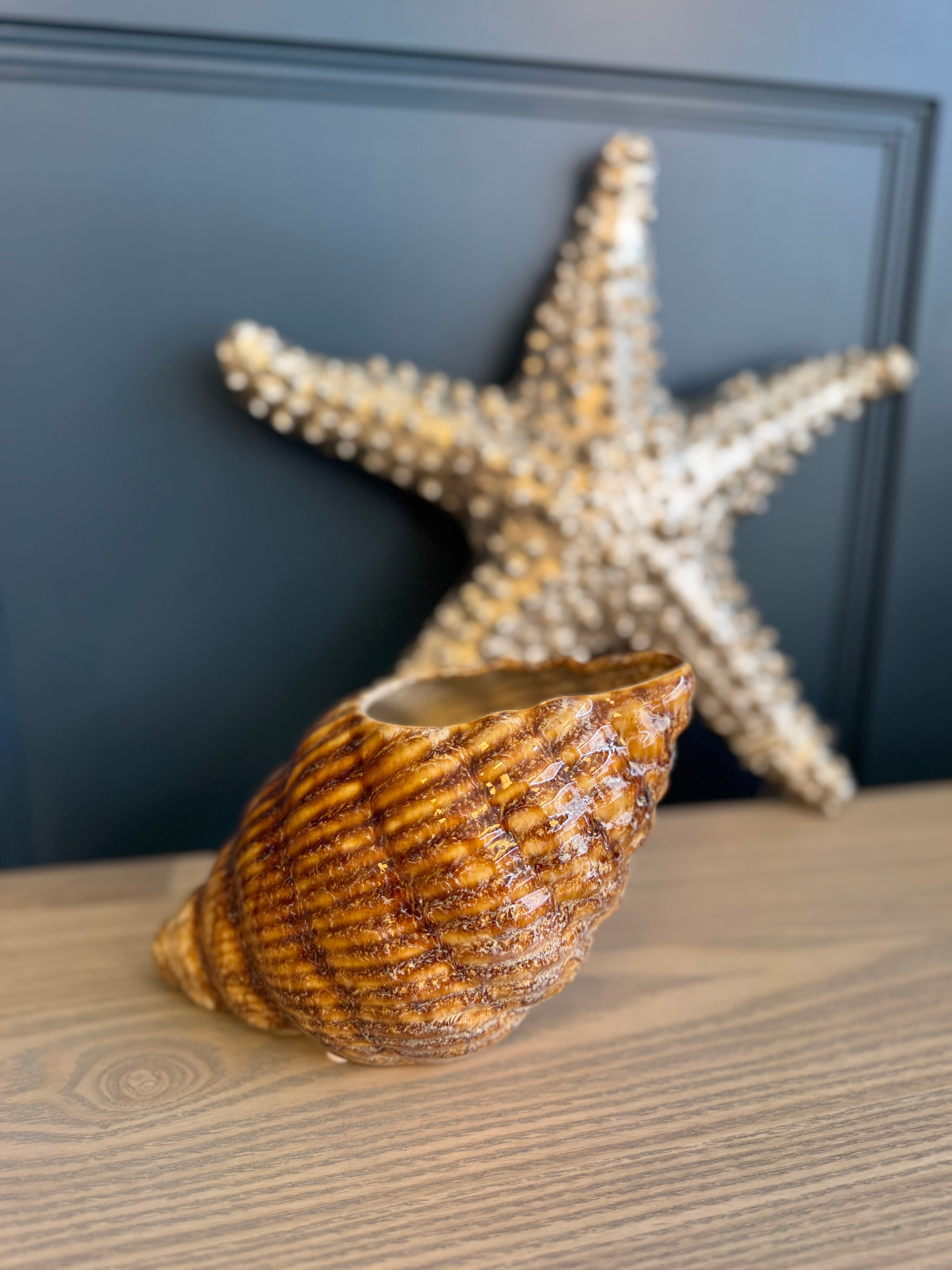 Cream Ceramic Shell Shaped Pot Glazed B