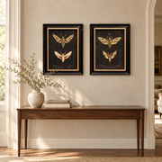 Set of 2 Butterfly Frames