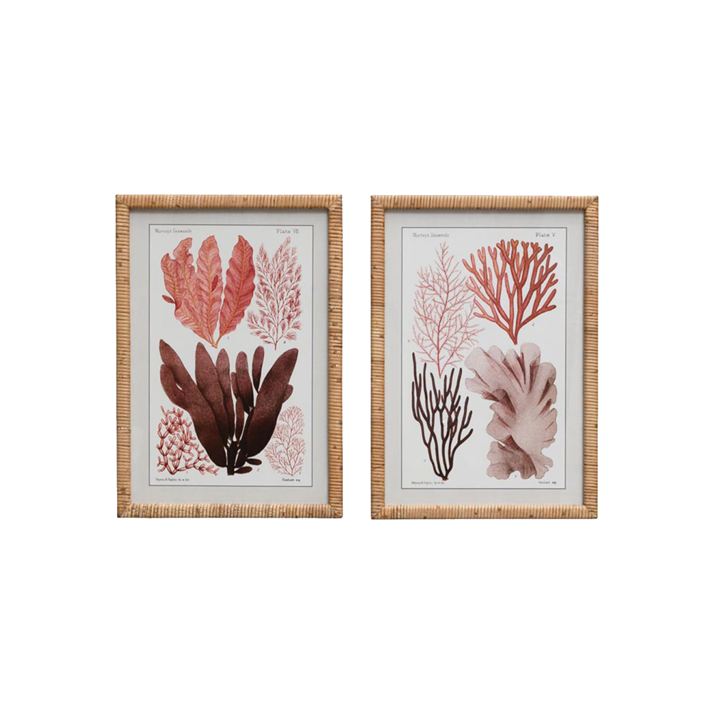 Set of 2 Multicoloured Coral Frames