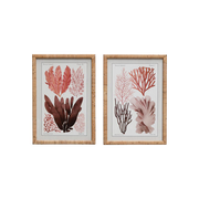 Set of 2 Multicoloured Coral Frames