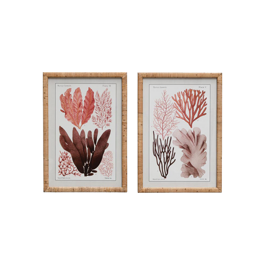 Set of 2 Multicoloured Coral Frames