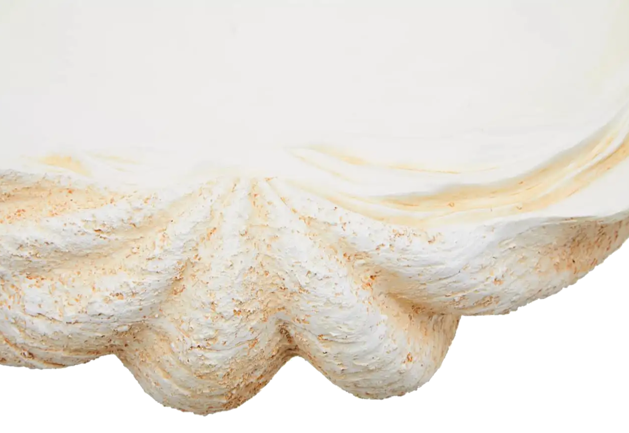Large Clam Shell Bowl