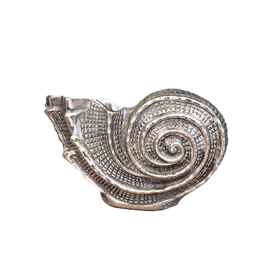 Ammonite Shell Bottle Holder