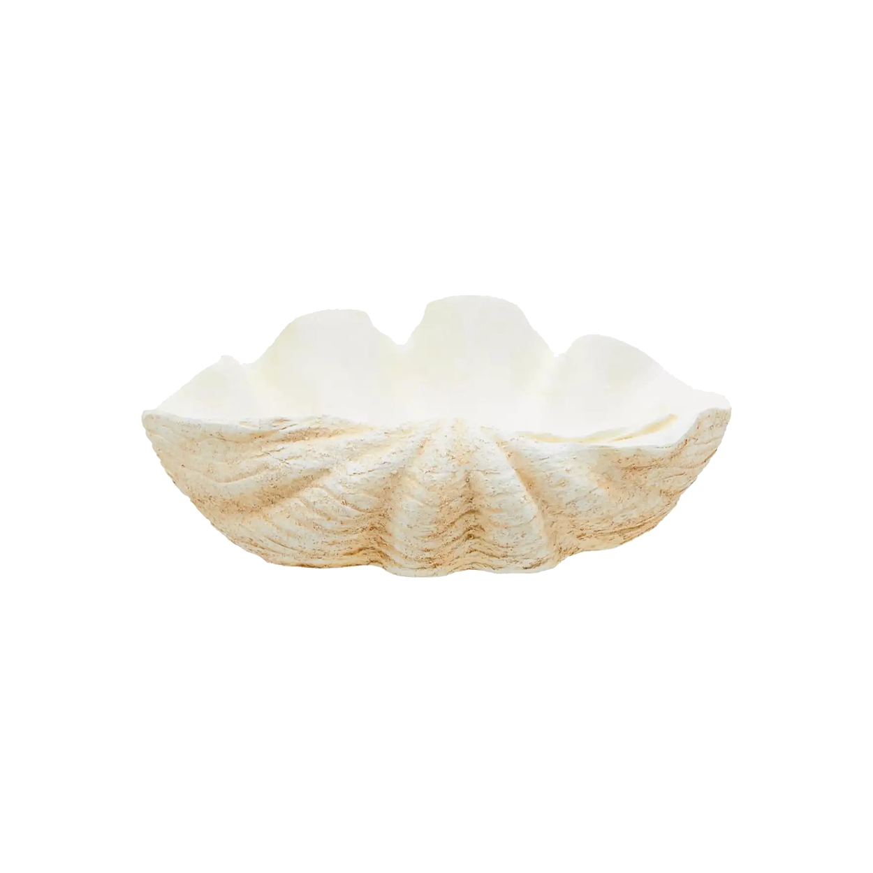 Large Clam Shell Bowl