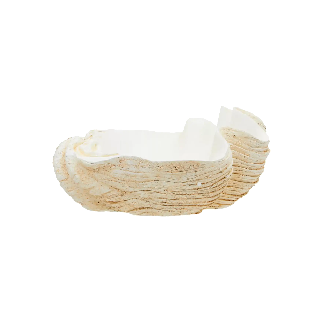 Large Clam Shell Bowl
