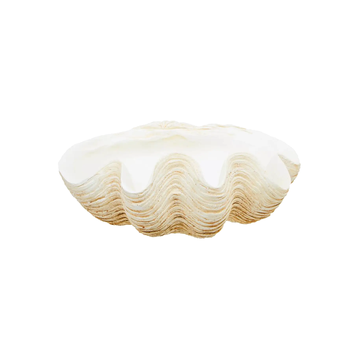 Large Clam Shell Bowl