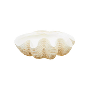 Large Clam Shell Bowl