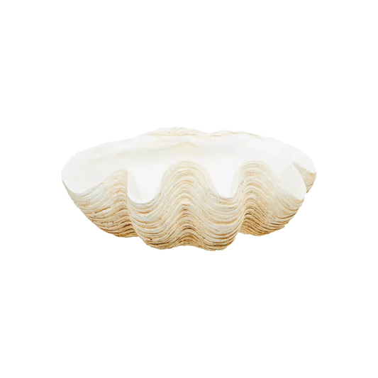 Large Clam Shell Bowl
