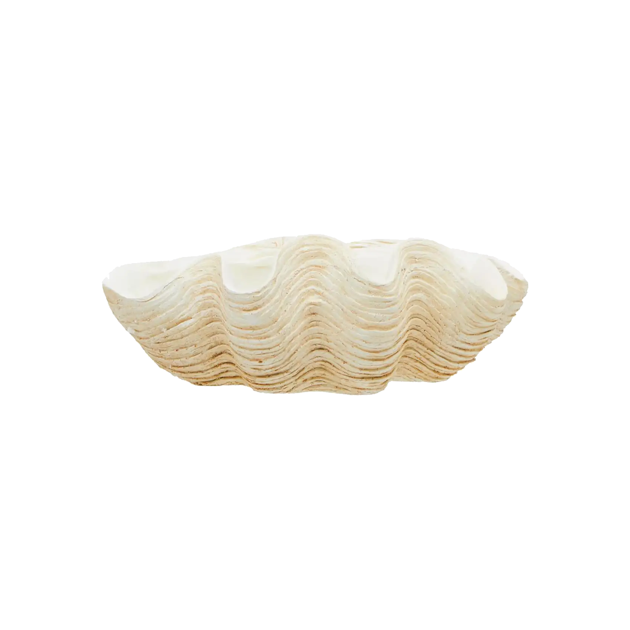 Large Clam Shell Bowl