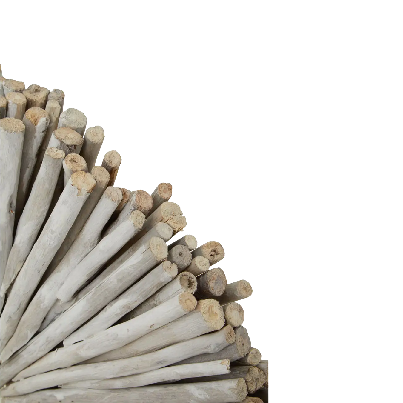 Botanical White Wood Sculpture