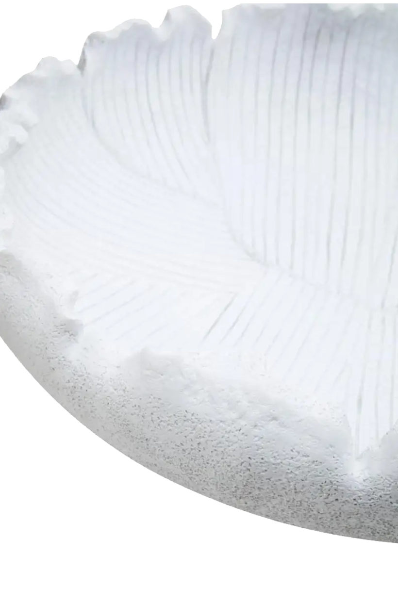 White Flat Bowl