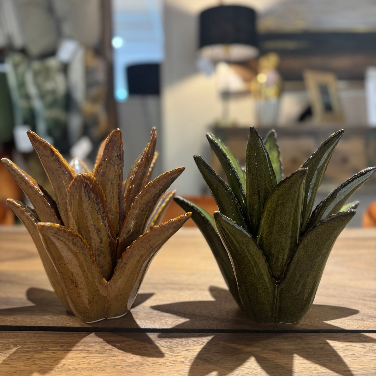 Cactus Candle Holders | Auburn