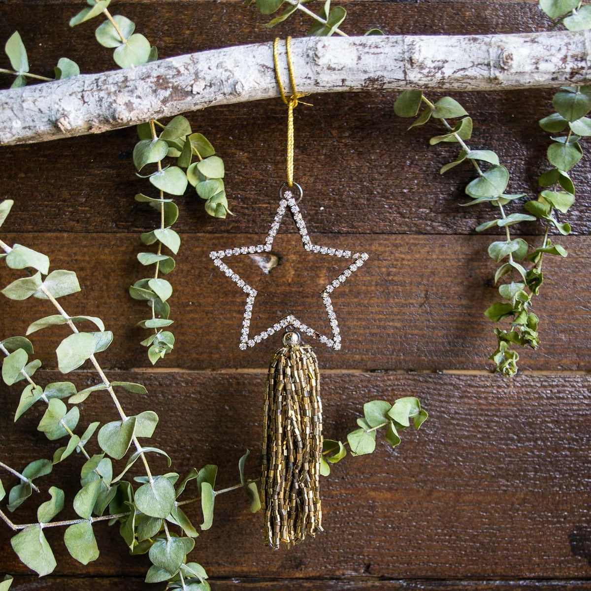 Beaded Star Tassel Decoration