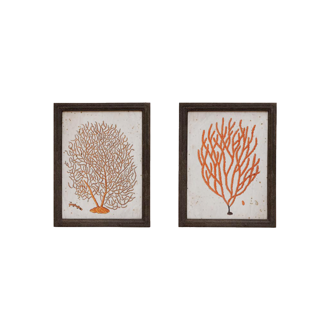 Set of 2 Coral Frames with Antique Patina