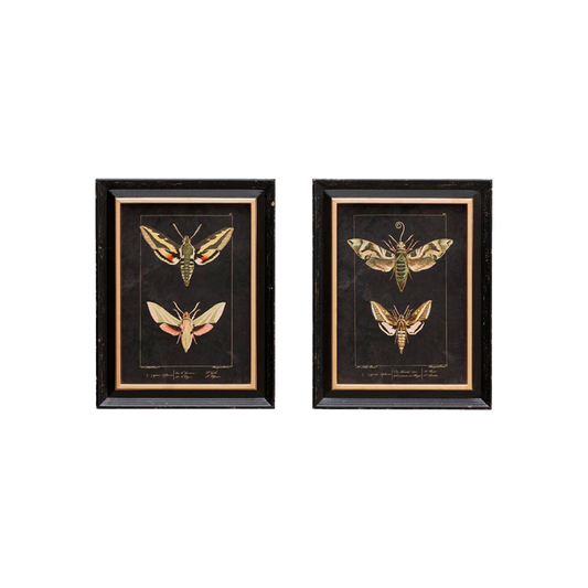 Set of 2 Butterfly Frames