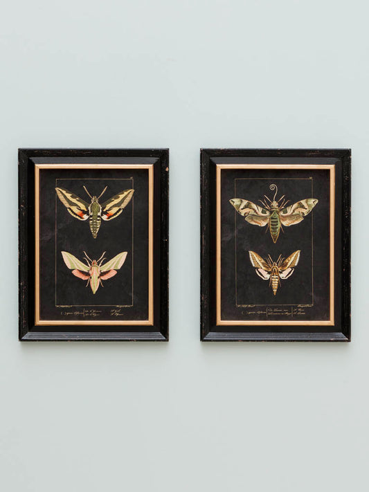 Set of 2 Butterfly Frames