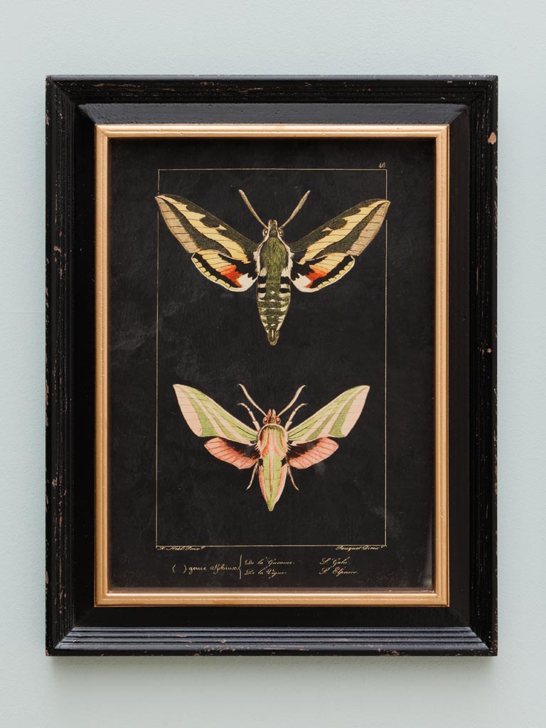 Set of 2 Butterfly Frames