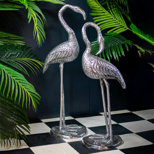 Standing Pair Of Flamingos