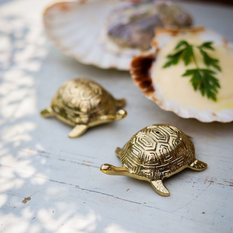 Brass Turtle Salt & Pepper Set