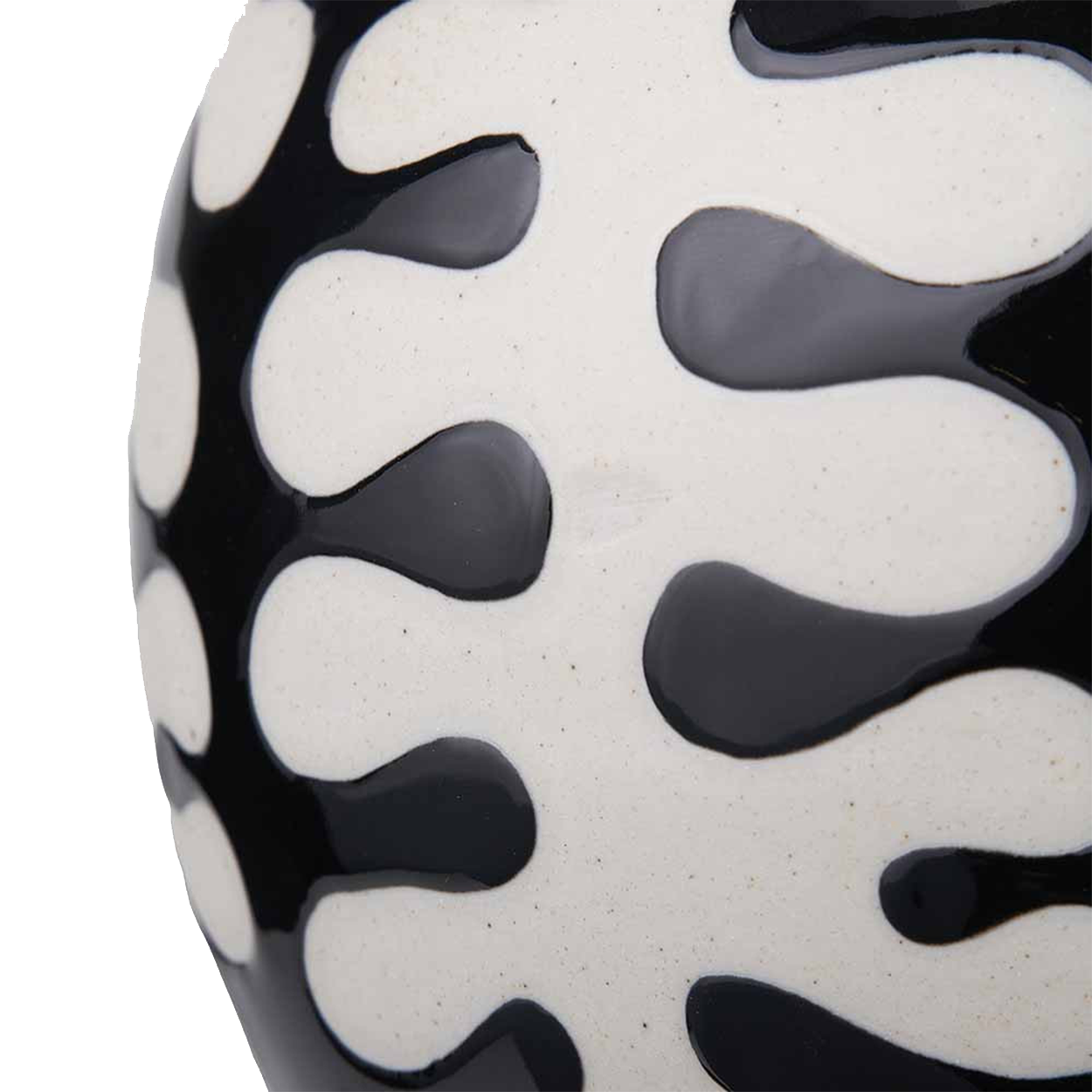 Elkorn Black and White Ceramic Coral Design Ginger Jar