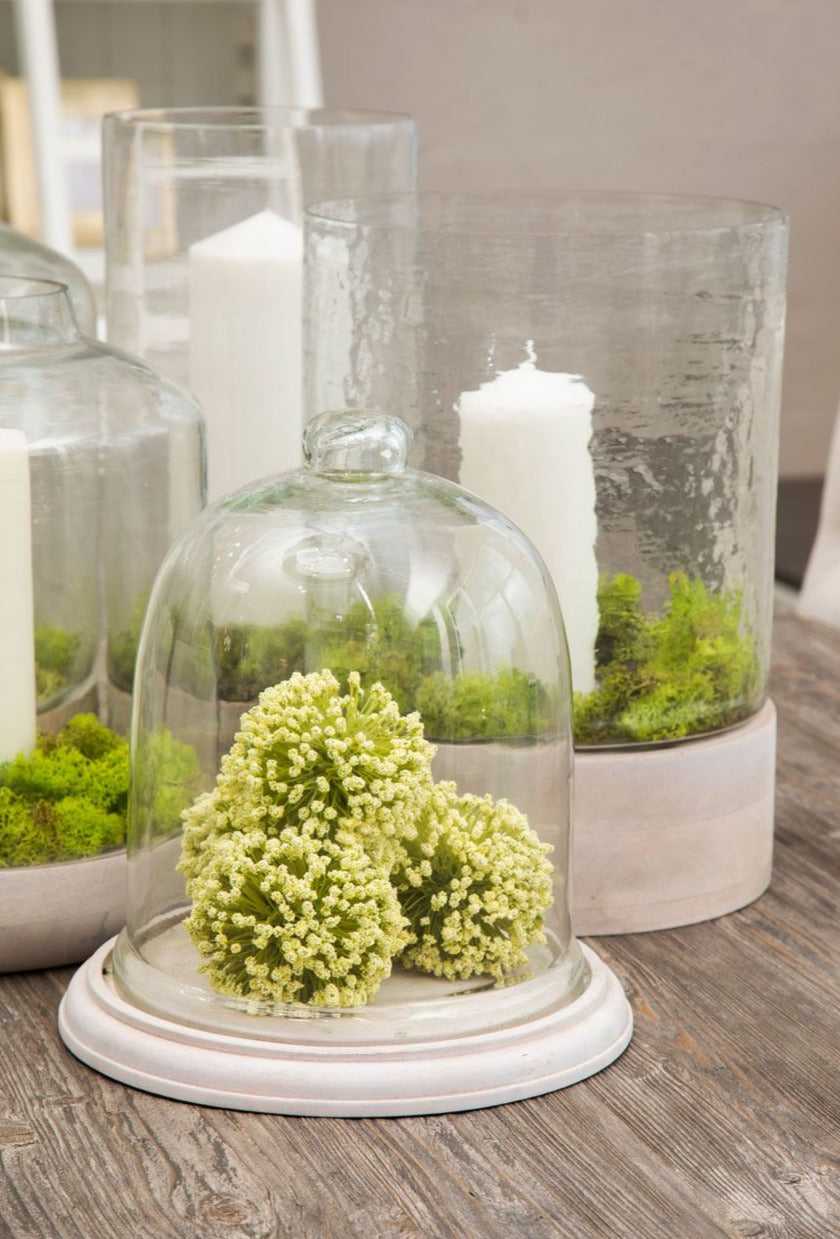 Glass Dome Jar