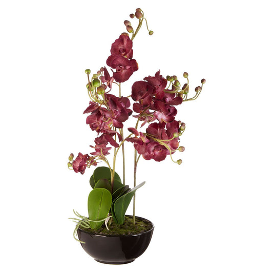 Purple Orchid With Black Ceramic Pot