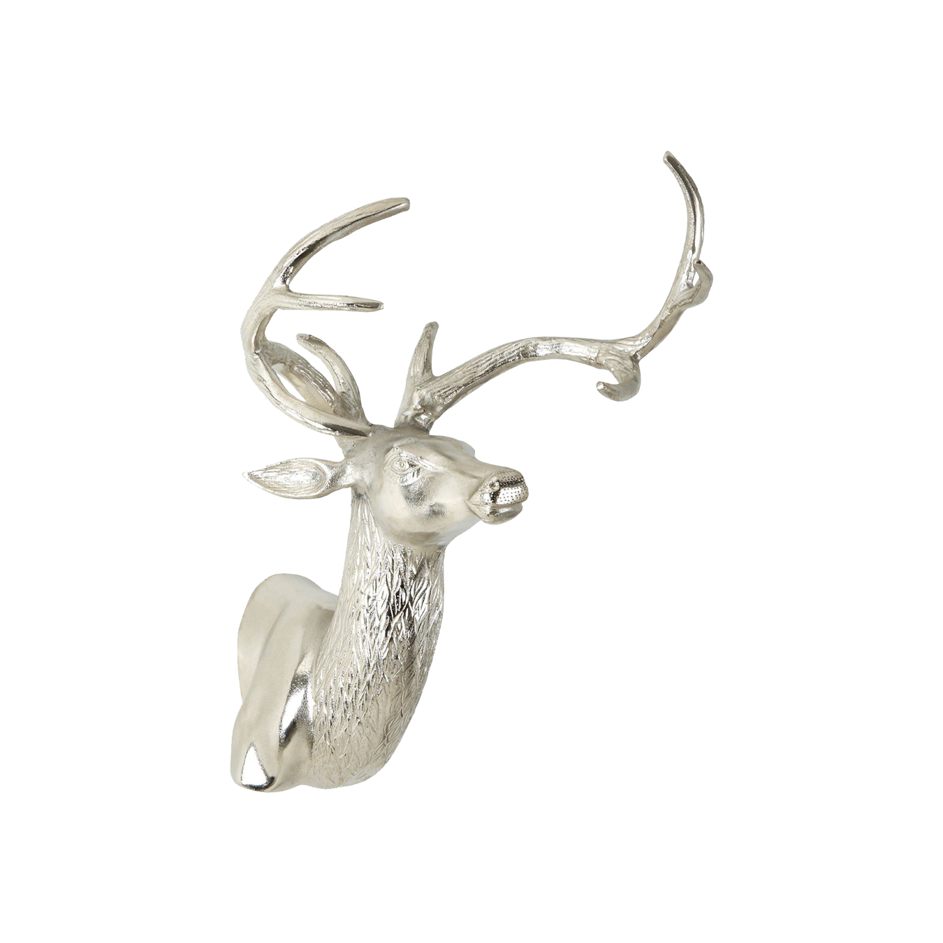 Wall Mounted Stag With Curved Antlers