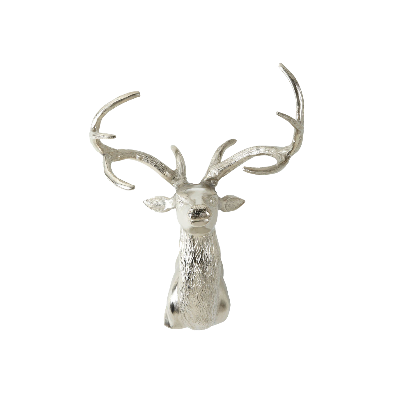 Wall Mounted Stag With Curved Antlers