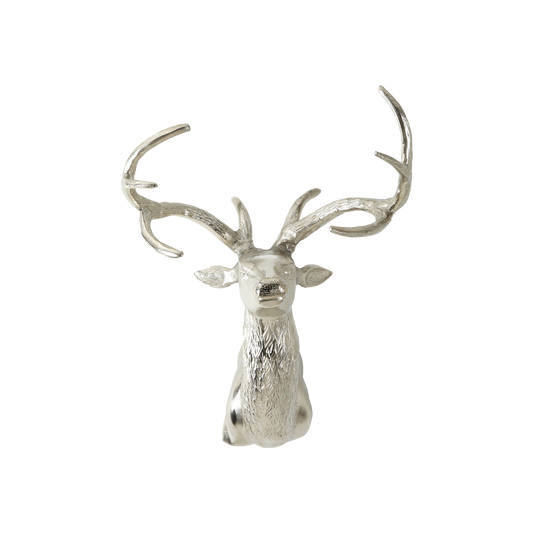 Wall Mounted Stag With Curved Antlers