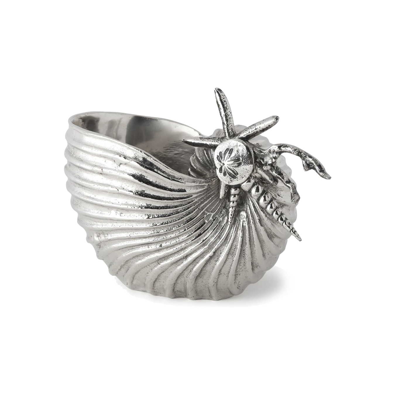 Large Seashore Shell Drinks Holder