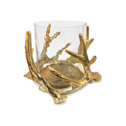 Medium Antler Gold Hurricane with Hammered Glass